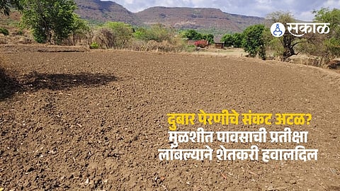 Delayed monsoon causes concerns for paddy sowing in Mulshi taluka