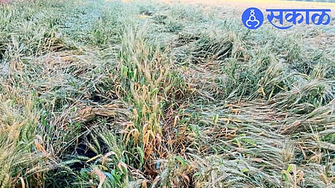 Akola