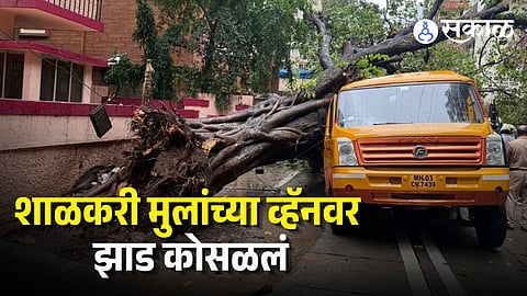 Chembur Tree Collapsed on School Van