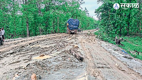 Gadchiroli