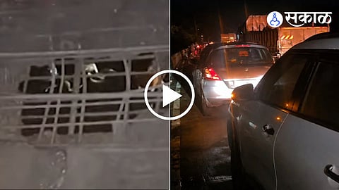 Mumbai-Ahmedabad Highway pothole