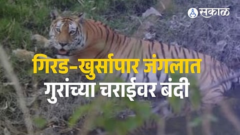 Villagers have urged the district administration to restore traditional grazing rights under the Forest Rights Act, 2006.