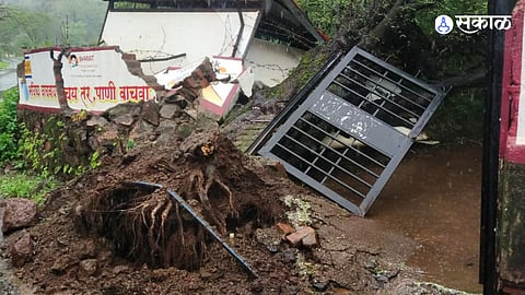 Heavy Rains Uproot Tree at Gondale School; No Injuries as School Was Closed