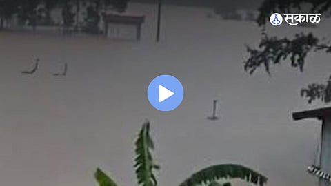 Snakes seen swimming in floodwaters after Typhoon Mesak destroyed a breeding farm in Guangxi, China,