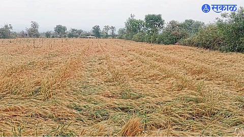 Akola