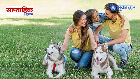 Puppy Care During the First Year