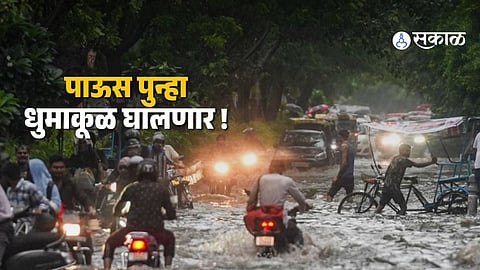 IMD predicts heavy rainfall