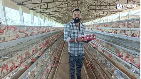 Heatwave Cuts Egg Production, Maharashtra Sees Sharp Rise in Egg Prices
