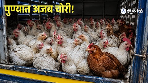 Pune Crime News