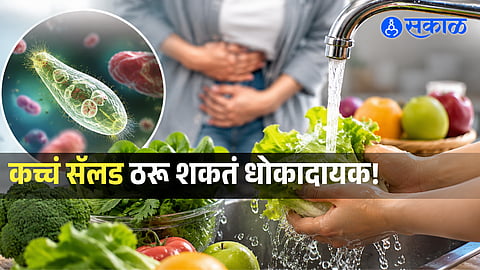 Could Your Salad Be Dangerous?