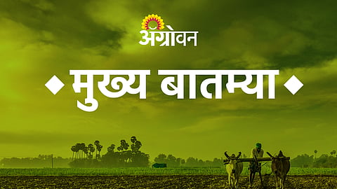 बदनापूरच्या मोसंबी संशोधन केंद्राला अवकळा!