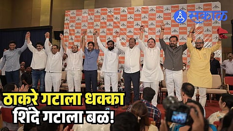 Shiv Sena Rebel MPs