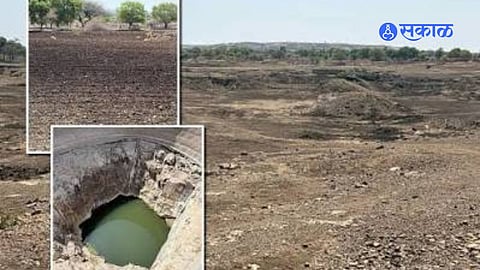 Solapur Faces Rainfall Crisis: Nine Talukas Still Await Good Monsoon Showers