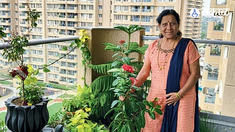 Gardening with flowering and medicinal plants offers relaxation, positivity and a sustainable way of living.