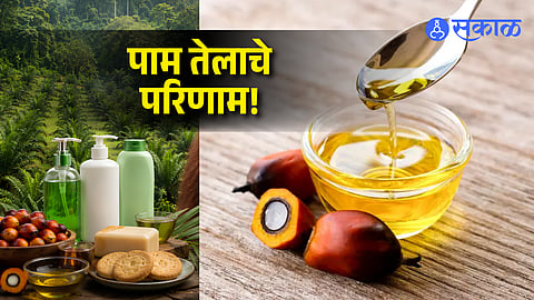 Palm Oil Effects You Need To Know