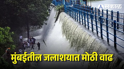 Mumbai Dam Water Level