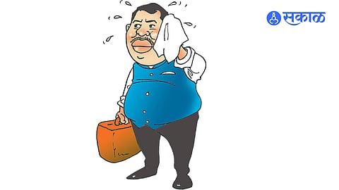 Dhing Tang British Nandy political satire on Delhi politics Ashadhi Ekadashi Maharashtra political developments