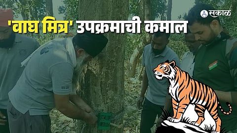 international tiger day tiger mitra initiative uttar pradesh wildlife conservation