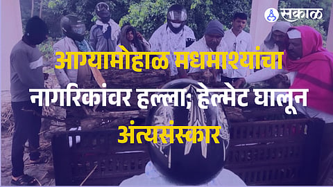 A swarm of aggressive bees attacked mourners during a funeral at Vadgaon Pir, forcing villagers to flee and leaving the body unattended. The last rites were completed two hours later by youths wearing helmets and protective gear.