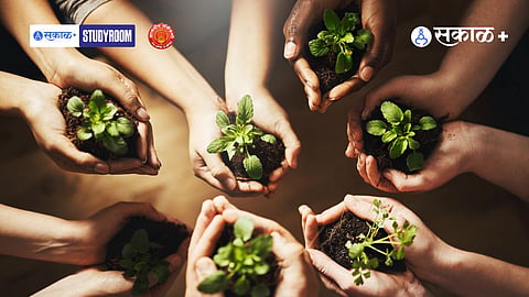Environmental Sustainability