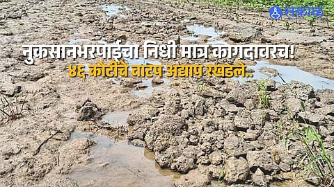 Flood Relief Stalled in Solapur 13000 Eligible Farmers Still Waiting for 46 Crore Compensation After Heavy Rains