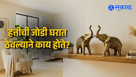 Elephant Pair at Home: Vastu Rules, Direction & Benefits Explained