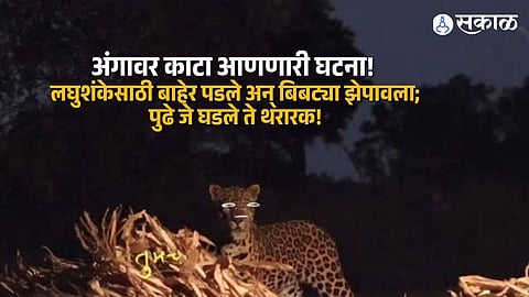 Leopard Attack in Rahata Farmer Battles Wild Animal and Escapes Serious Injury After Midnight Encounter