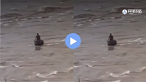 Nepal flood rescue video: A buffalo carries a stranded man through strong floodwaters toward a safer location.