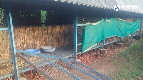 Onion worth ₹60,000 stolen from farmer’s storage shed in Pondewadi.