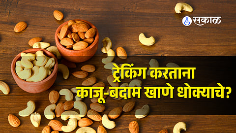High Altitude Trekking Diet: Why You Shouldn't Overeat Nuts