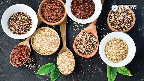 Millets: Nutritious grains for a healthier lifestyle.