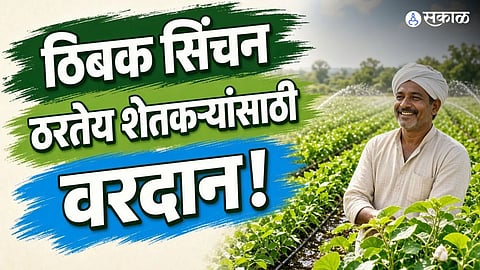 drip irrigation jharkhand subsidy