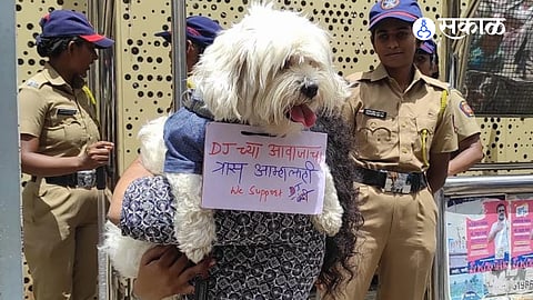 Loud DJ music puts animals at serious risk.