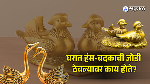 Married Life Vastu Tips: Benefits of Swan & Mandarin Duck Pair in Bedroom