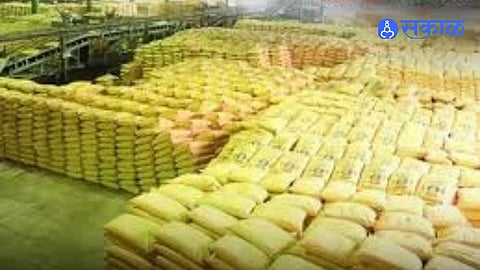 Forced Fertilizer Linking Draws Farmer Anger in Solapur as Subsidized Urea Is Allegedly Sold for 350 Rupees Per Bag