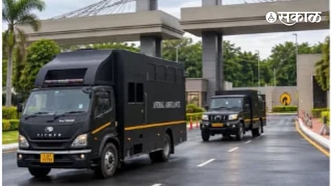 Madhuri Elephant Kolhapur return to vantara