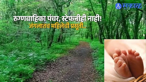Ralegaon Woman Delivers Baby in Forest as 102 Ambulance Fails to Reach Her on Time Raising Concerns Over Emergency Healthcare