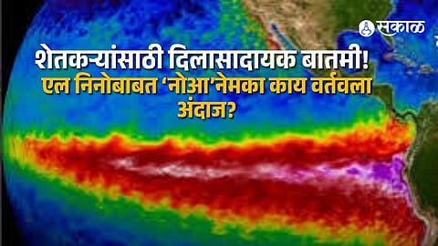 El Nino Impact In Maharashtra To End Before 2027 Monsoon NOAA Predicts Neutral Pacific Conditions And Relief For Farmers