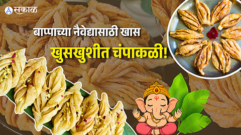 How to Make Champakali Sweet at Home: Perfect Layers and Recipe Steps