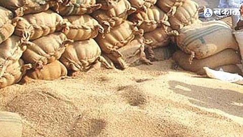 Lasurne Ration Wheat Seized Police Recover 500 Sacks of Wheat and Truck Worth 2125 Lakh in Black Market Case