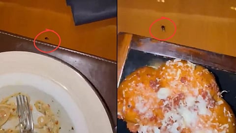 Cockroach Found at Mumbai Five Star Hotel