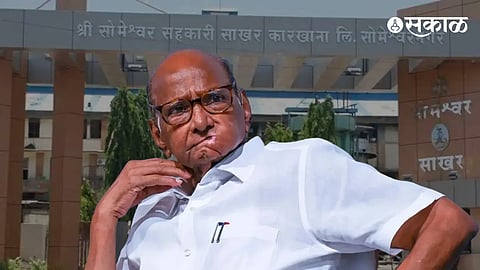 Sharad Pawar Someshwar Election baramati