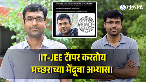 Meet IIT Kanpur Prof Nitin Gupta The JEE Topper Studying Mosquito Brains