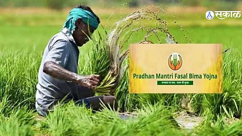 Kharif 2026 Crop Insurance In Ambegaon 6863 Farmers Cover 378473 Hectares With Insurance Protection Worth 2392 Crore
