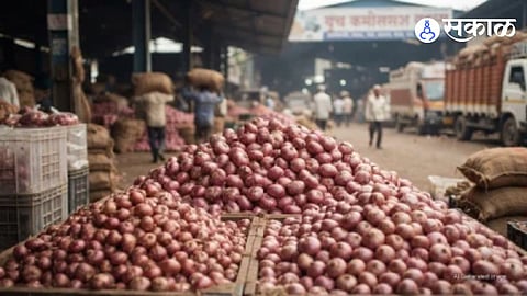 APMC market Egyptian onions