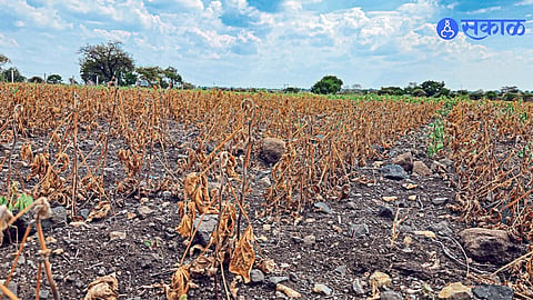 Panchayat Samiti members discuss drought conditions and irrigation issues in Walwa taluka
