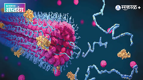 AlphaFold Protein Structure Prediction