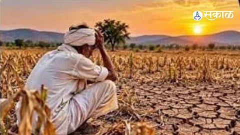 Maharashtra Drought Crisis Hits Pandharpur as Three Month Rain Break Threatens Rabi Season and Farmer Livelihoods