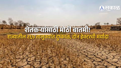 Drought Relief for Maharashtra Farmers Limited to Two Hectares as Officials Survey Crop Damage Across 265 Talukas