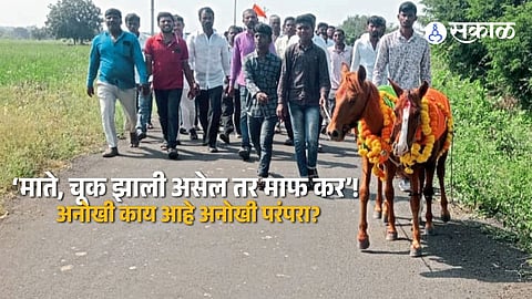 Kalika Mata Tradition In Yerrol Villagers Take Traditional Journey To Bring Goddess Back After Four Months Without Rain